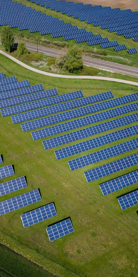 solar farm in a green field